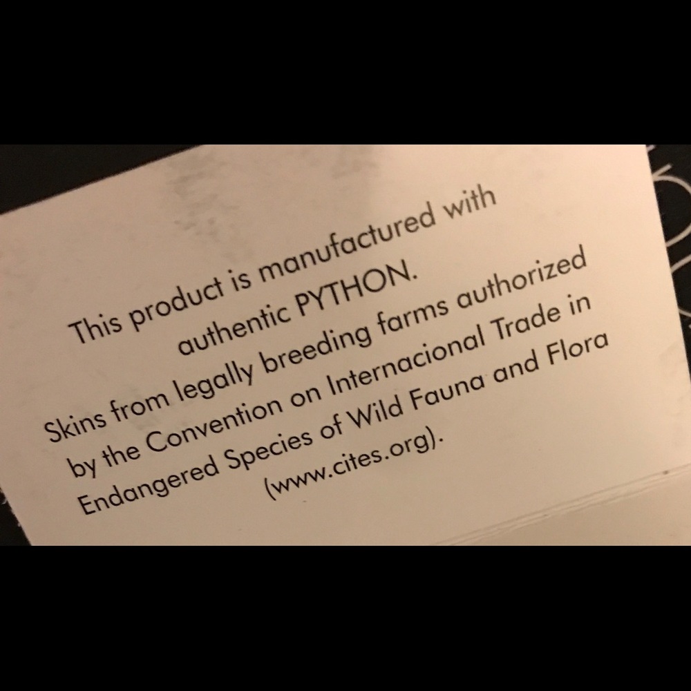 Exclusive Alexandre Birman Python Platforms - image 8